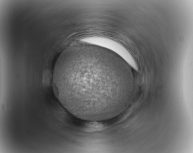 X0000088400421200706051139