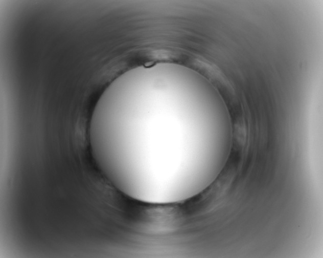 X0000088400422200706051139