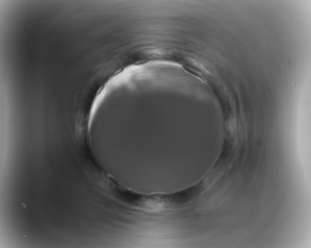 X0000088400423200706051139