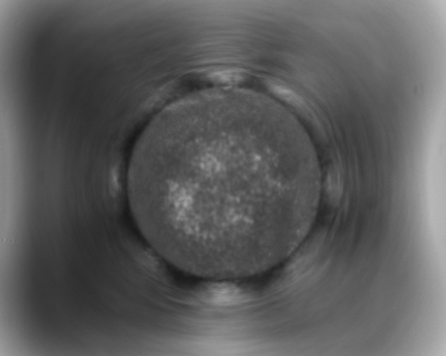 X0000088400424200706051139