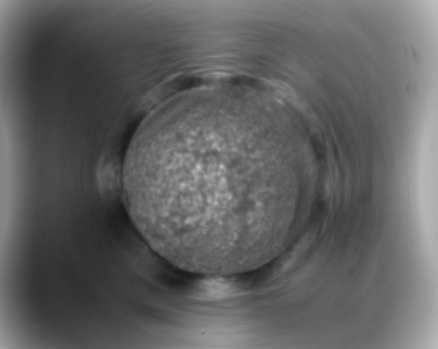 X0000088400425200706051139