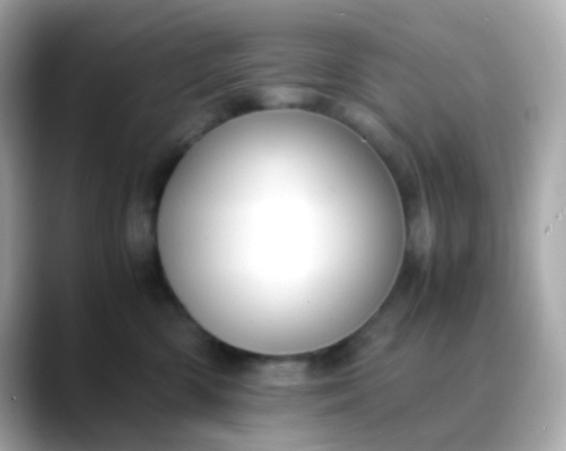 X0000088400426200706051139