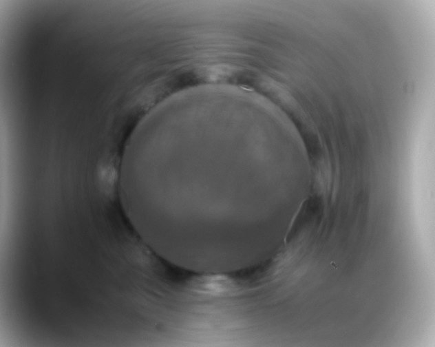 X0000088400427200706051139