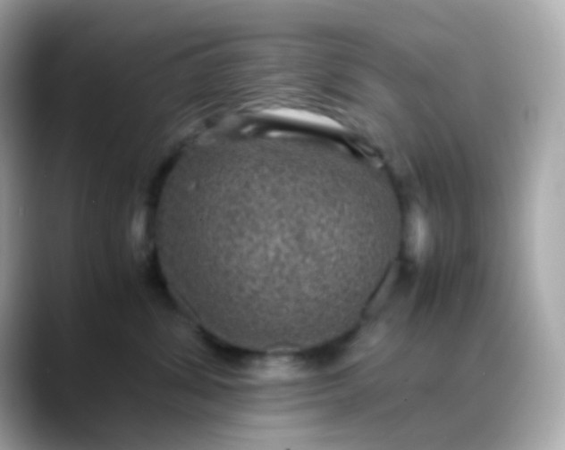 X0000088400428200706051139