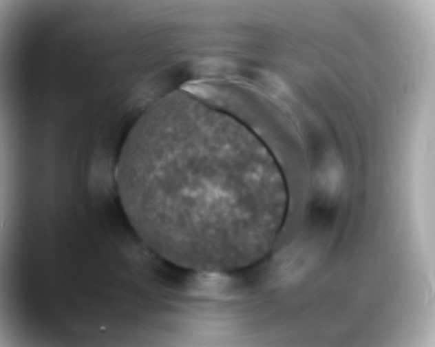 X0000088400429200706051139