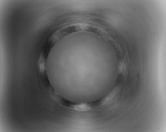 X0000088400431200706051139