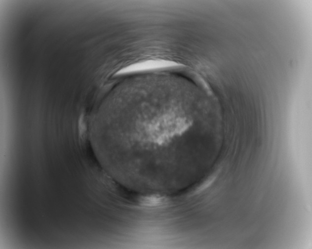 X0000088400432200706051139