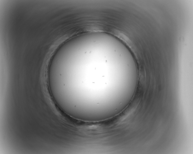 X0000088400433200706051138