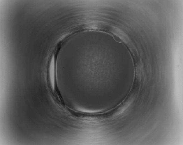 X0000088400434200706051138