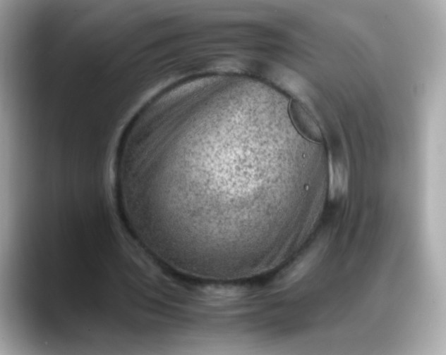 X0000088400435200706051138