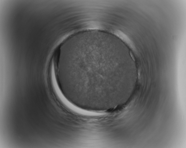 X0000088400436200706051138