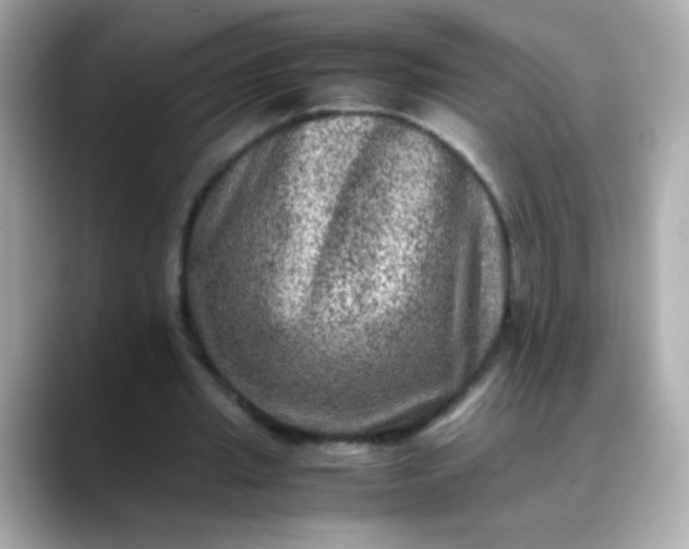 X0000088400437200706051138