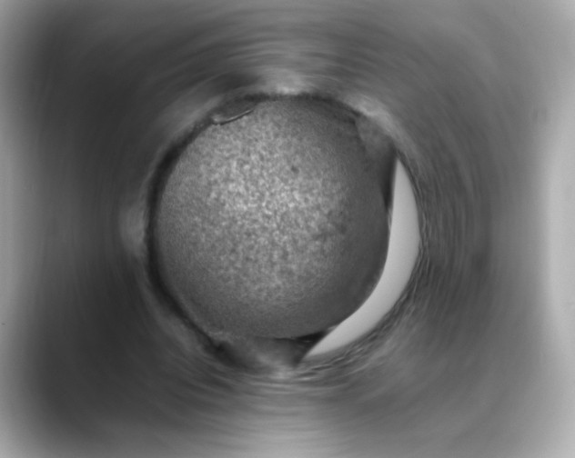 X0000088400440200706051138