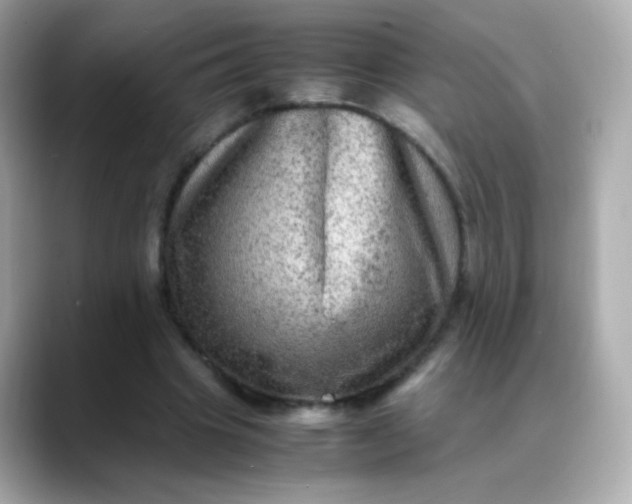 X0000088400441200706051138