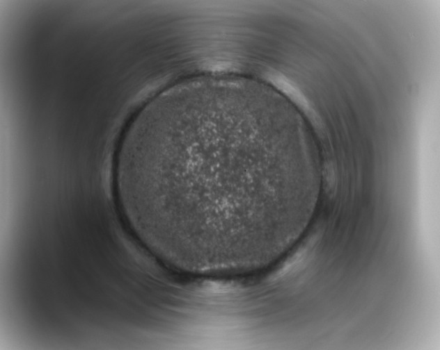 X0000088400442200706051138