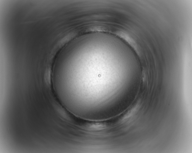 X0000088400445200706051139