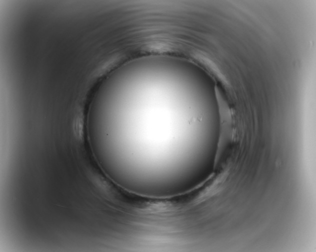 X0000088400446200706051139