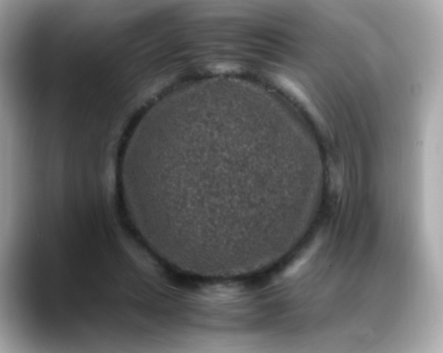 X0000088400447200706051139