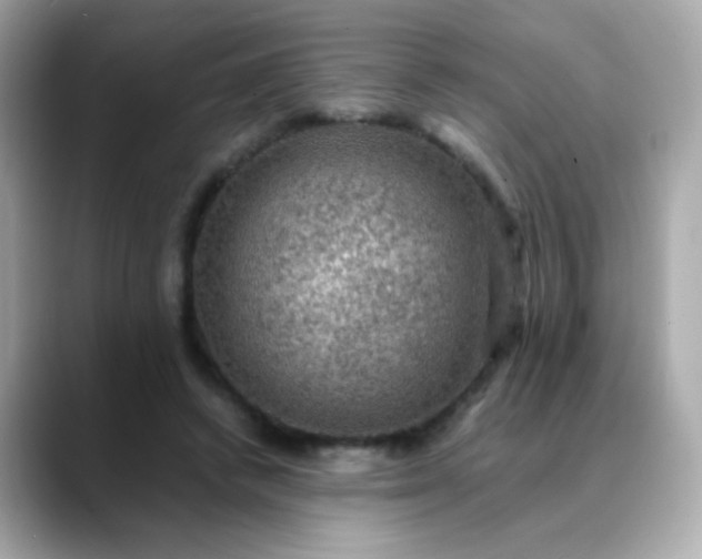 X0000088400448200706051139