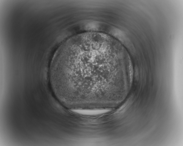 X0000088400449200706051139