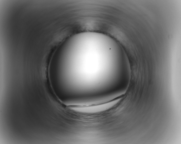 X0000088400450200706051139