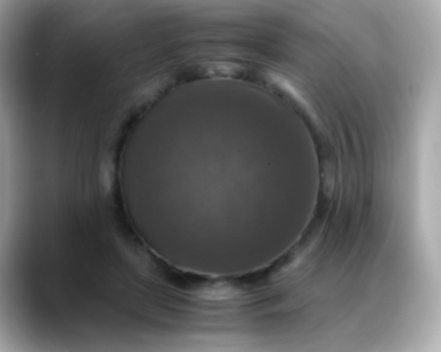 X0000088400451200706051139