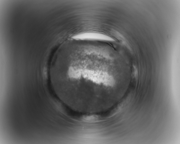 X0000088400452200706051139