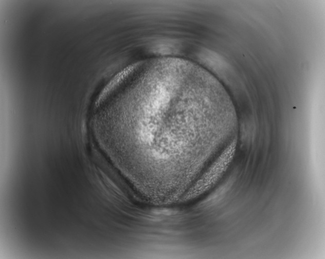 X0000088400453200706051139