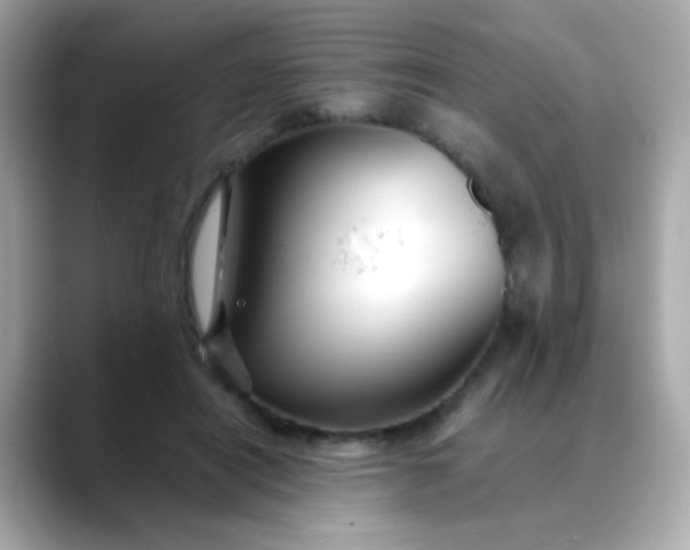 X0000088400454200706051139