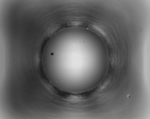 X0000088400455200706051139