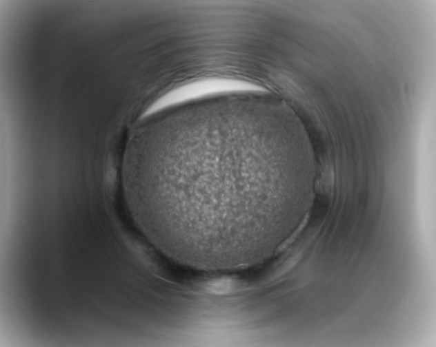 X0000088400456200706051139