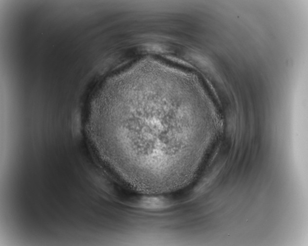 X0000088400457200706051139