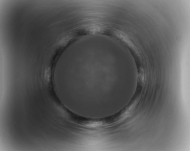 X0000088400458200706051139