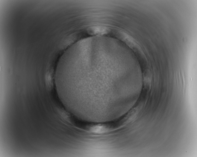 X0000088400460200706051139