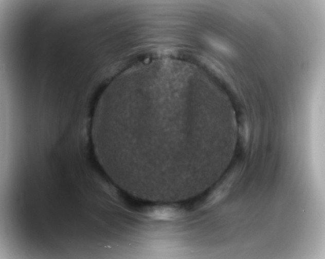 X0000088400462200706051139