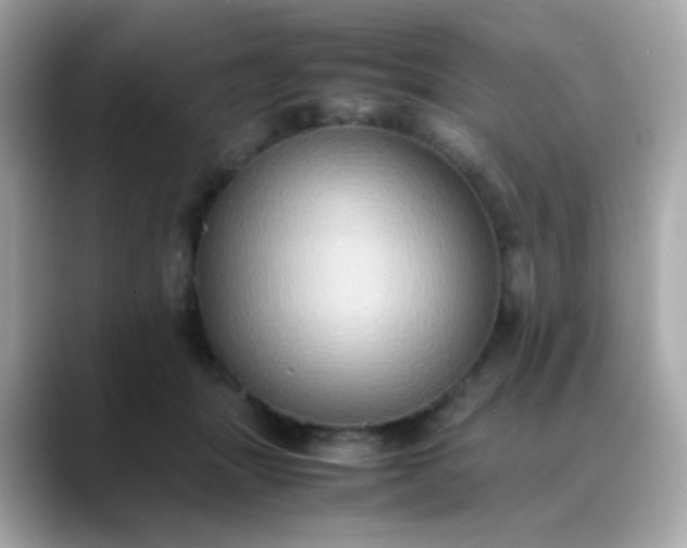 X0000088400463200706051139