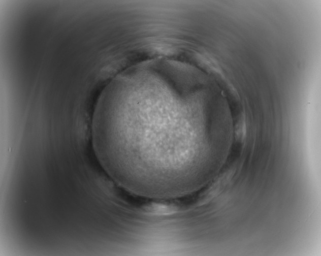 X0000088400464200706051139