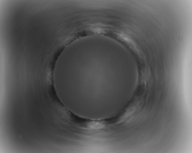 X0000088400465200706051139