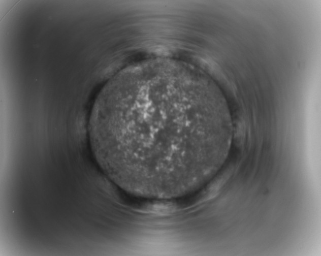 X0000088400466200706051139