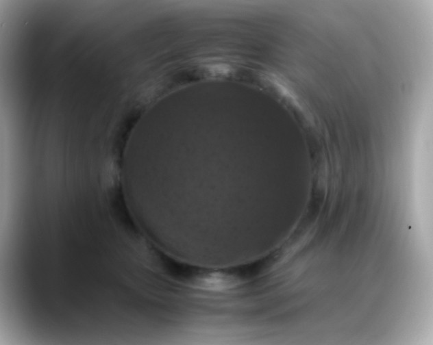 X0000088400467200706051139