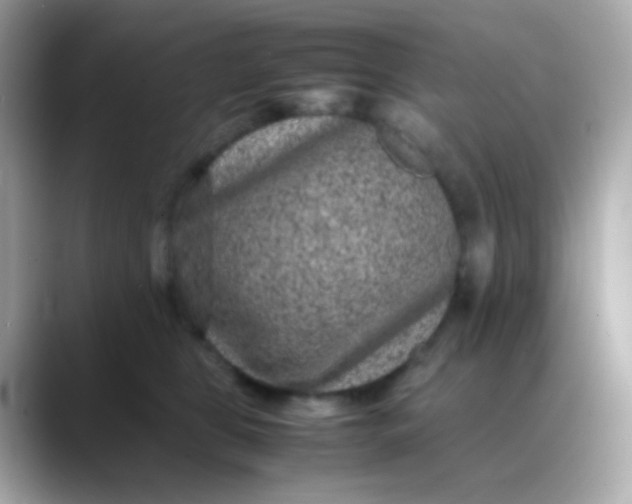 X0000088400469200706051139