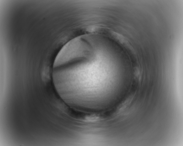 X0000088400470200706051139