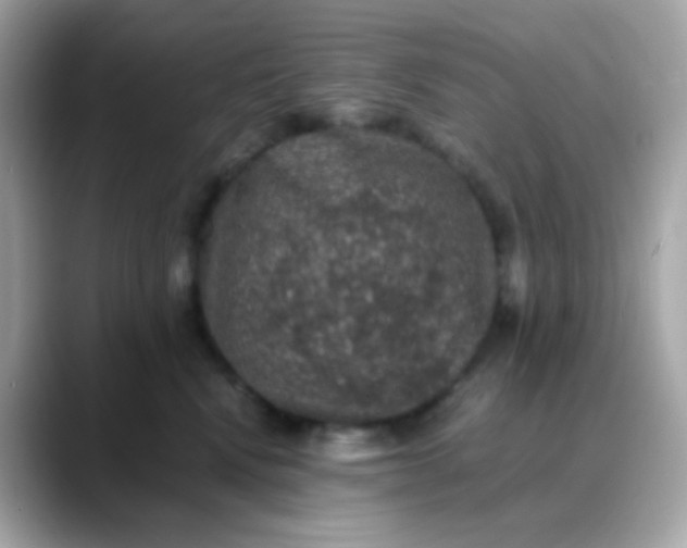 X0000088400472200706051139