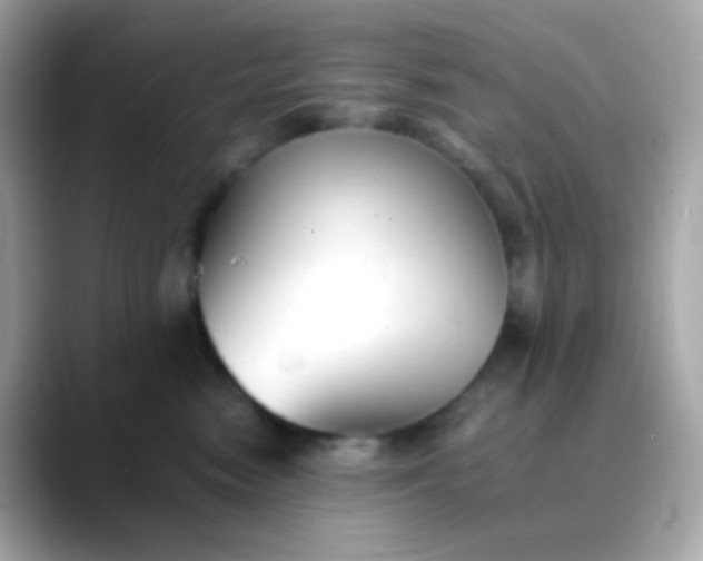 X0000088400474200706051139