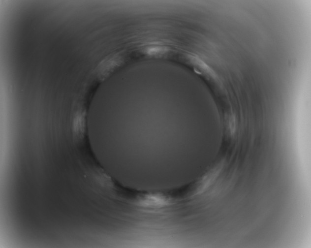 X0000088400475200706051139