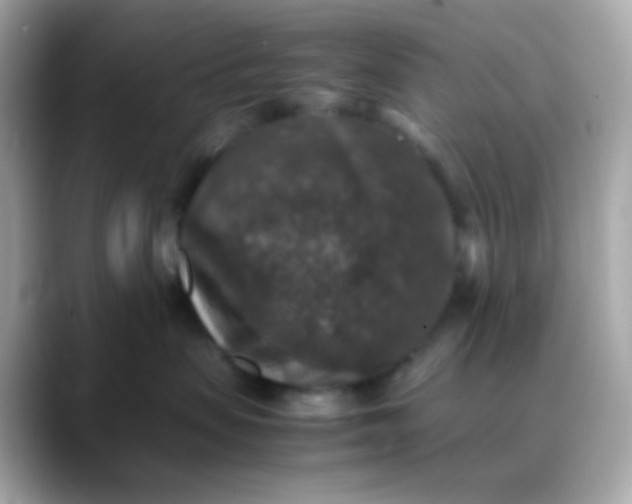 X0000088400479200706051139