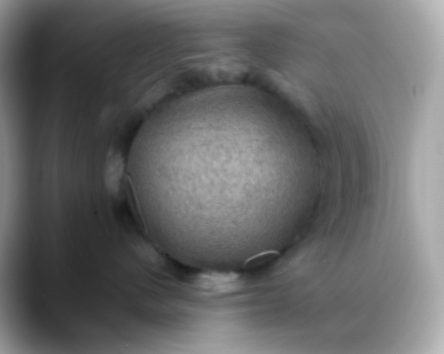 X0000088400480200706051139