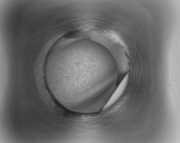 X0000088400481200706051138