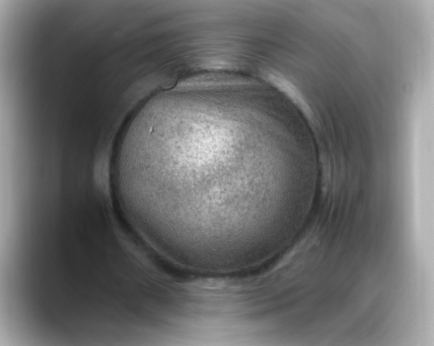 X0000088400482200706051138