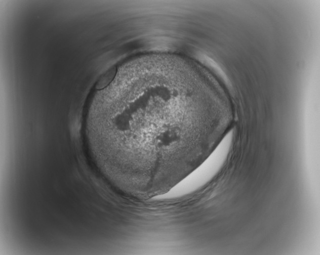 X0000088400483200706051138